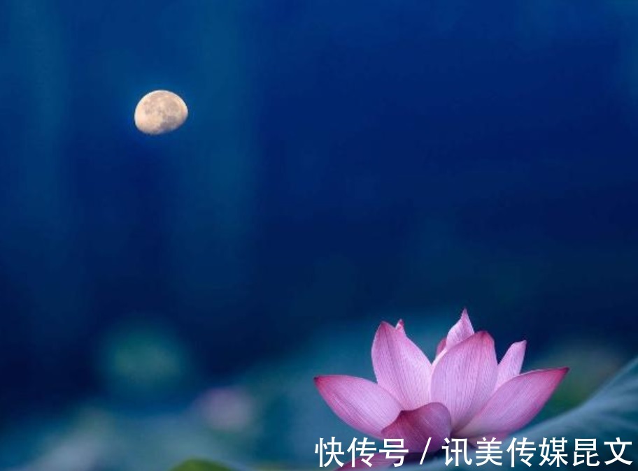 月色|荷花 明艳，十首有关荷花与月色的诗词，在月光里流溢荷香