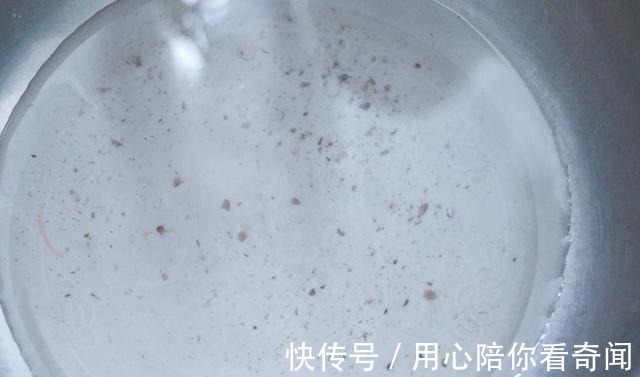 小虫子|香菇直接用清水洗是大错,学会这个小妙招,脏东西小虫子乖乖溜走