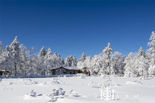 凤凰山|雪深超一米 凤凰山高山雪原“风姿”初现