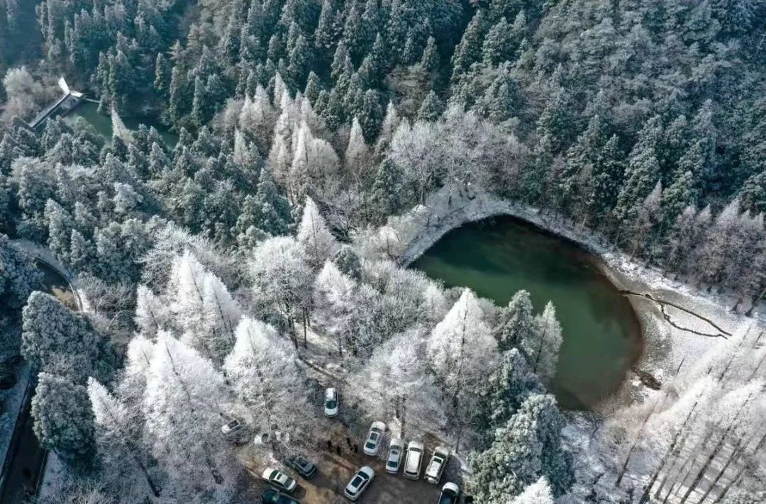 美景|华顶迎今年首场雾凇！天台山美景刷爆朋友圈！