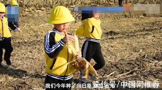 刘老师|幼儿园老师承包十余亩土地带孩子们体验耕种，网友:知行合一