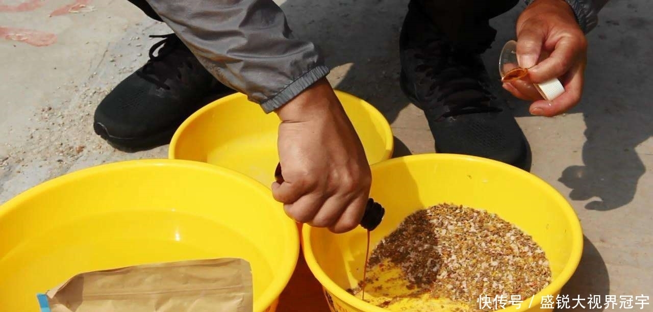 黑坑|臭底黑坑怎么钓?一场黑坑被老板盘得明明白白,可惜发现得晚了点