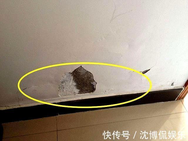 晾干|秋季墙面怎么保养3种常见“症状”,对症下药巧上家居美容课