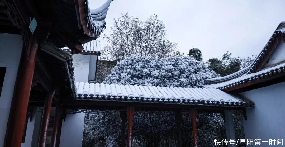 一场雪，让颍州美如一幅画