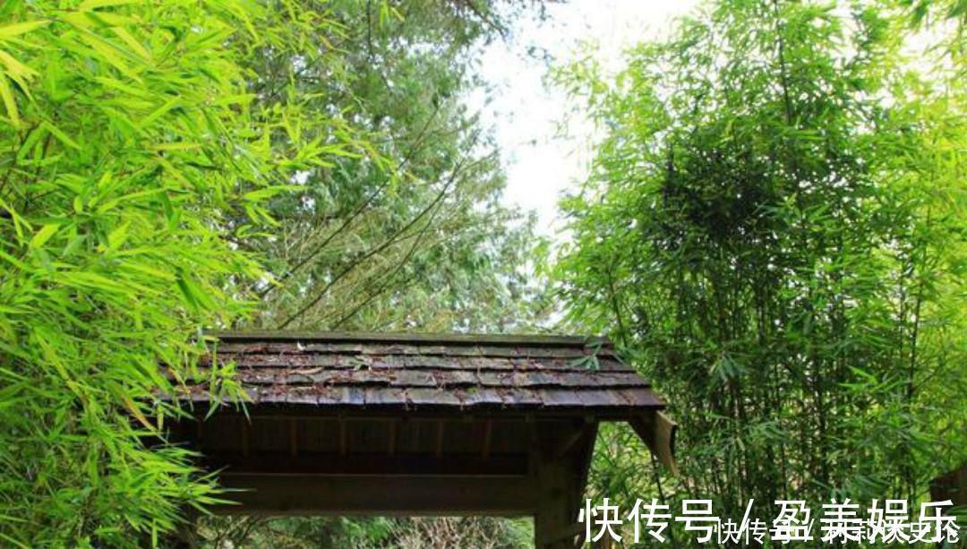 百事哀|元稹一首很特别的诗,写得生动有趣,读来让人有一种身临其境之感