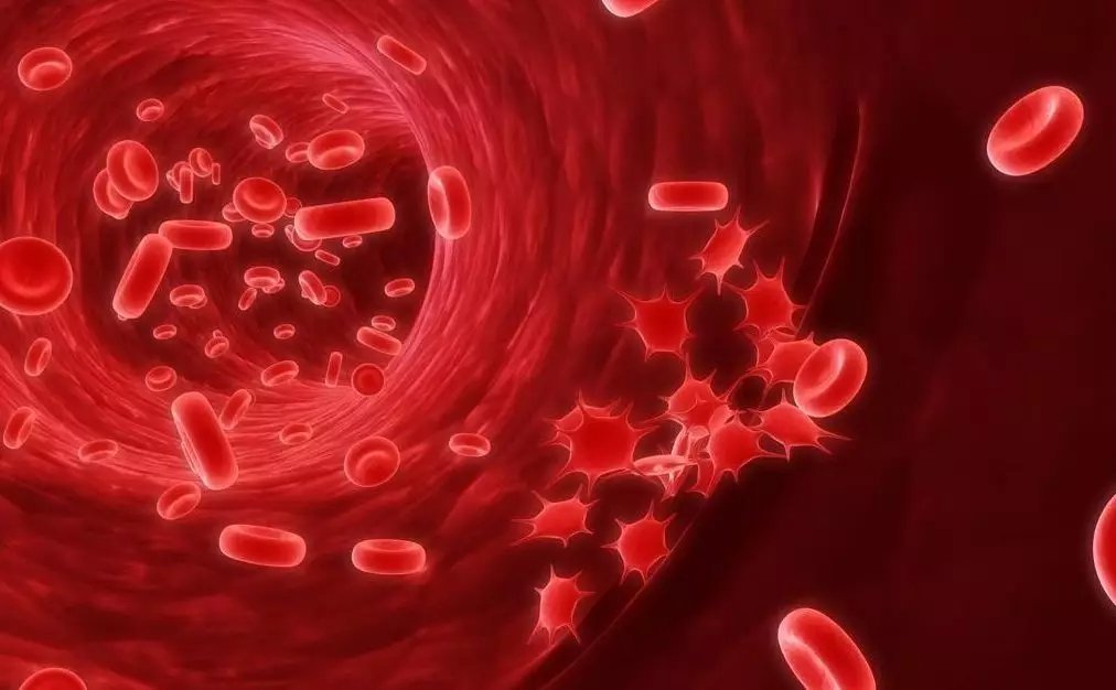 柳叶刀|千万别信!这11条养生建议都是假的,当心越养越病