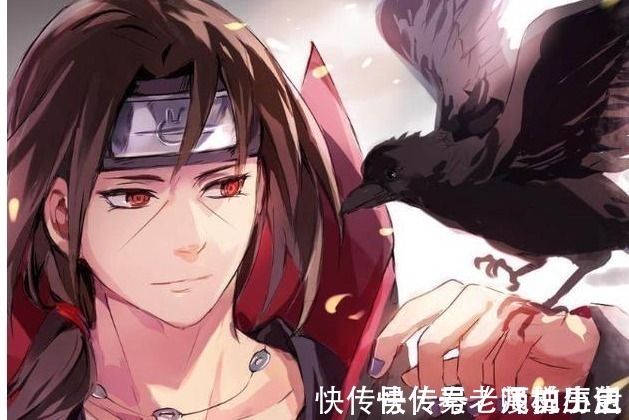 通灵兽|火影忍者:谁一次性召唤的通灵兽最多,蛞蝓该怎么算?