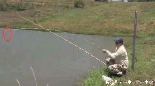 大叔钓大鱼被拉入河中不忍放弃,为了大鱼命都不要了