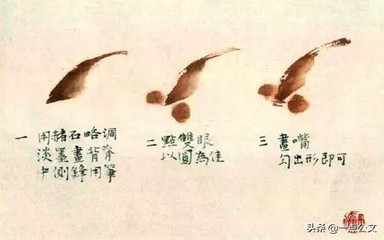 曙红|写意金鱼的画法解析