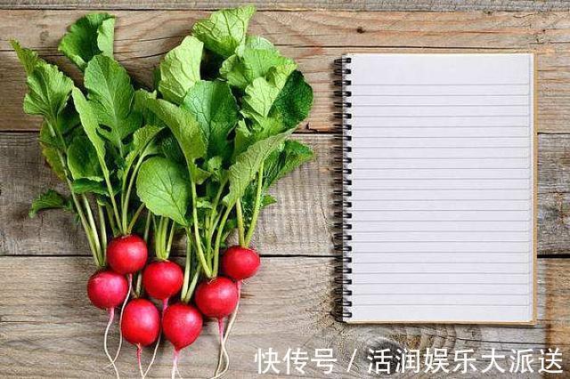 阳台|婆婆在阳台种“高钙菜”,15天摘“1篮子”,口感爽脆能“减肥