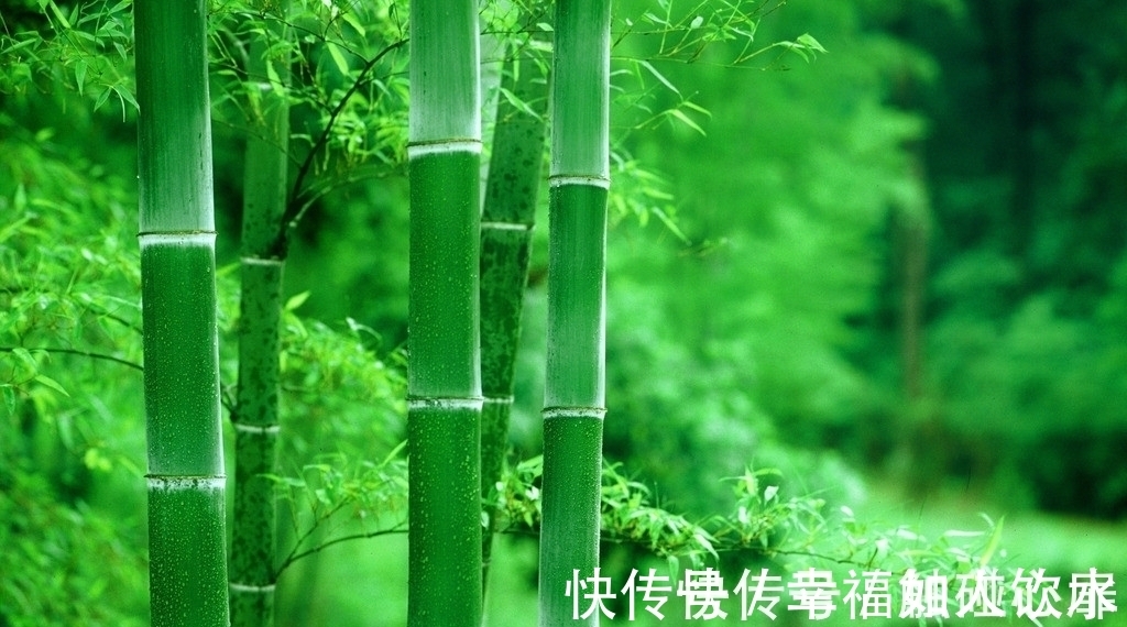 宋朝!唐诗、宋诗之外,水平最高的格律诗是哪5首?并进行排名