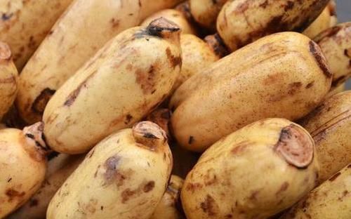 买莲藕时，该买7孔的还是9孔的，教你正确挑法，再也不怕买错了