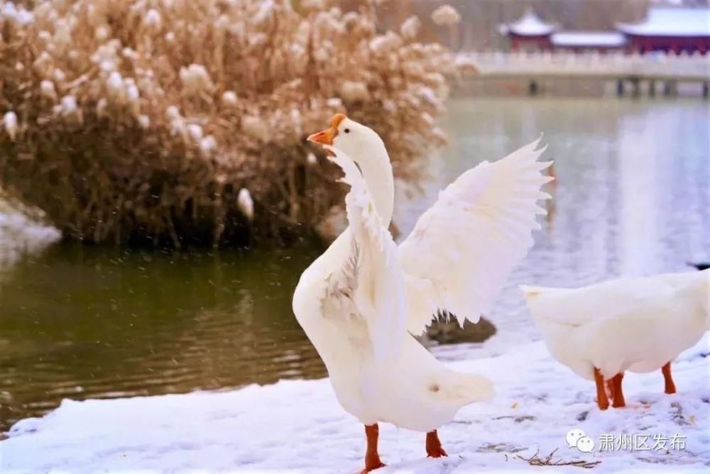  已至|冬至已至，新年还会远吗......