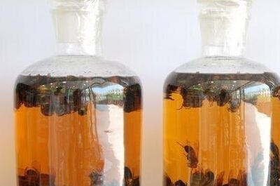 补肾|李时珍眼中的补肾“神草”，不想人未老肾先衰，3种用法值得一试