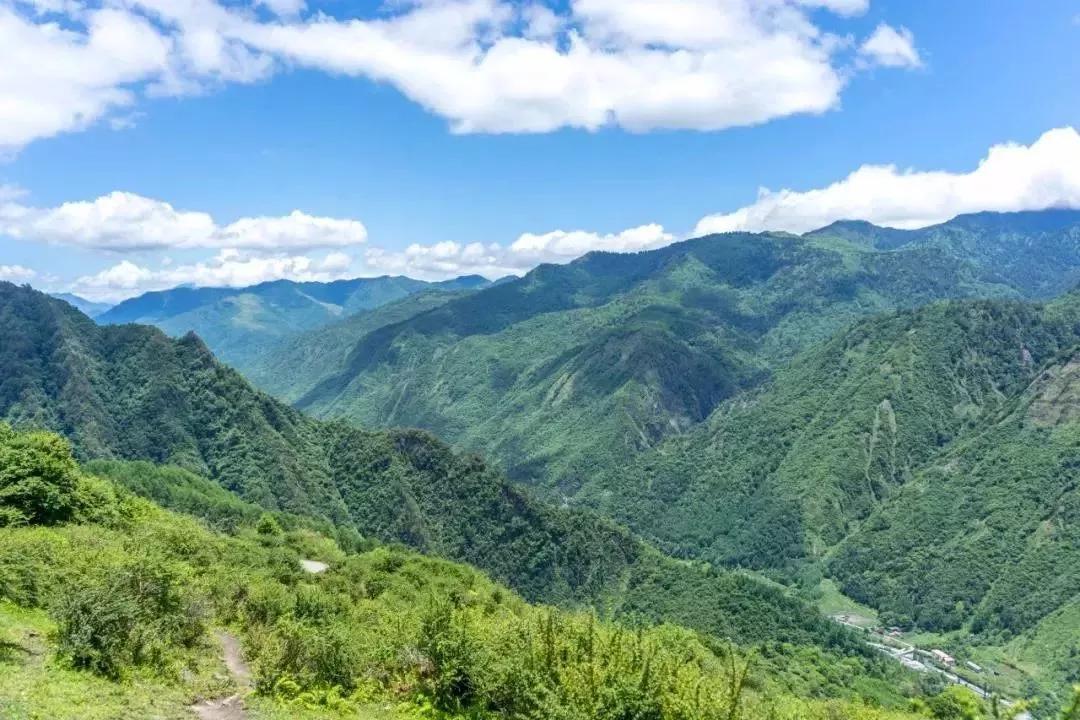 概念|野腾心概念：卓西牧场 7.28 想带你一起，去看“小塔公草原”的闲云牛马！