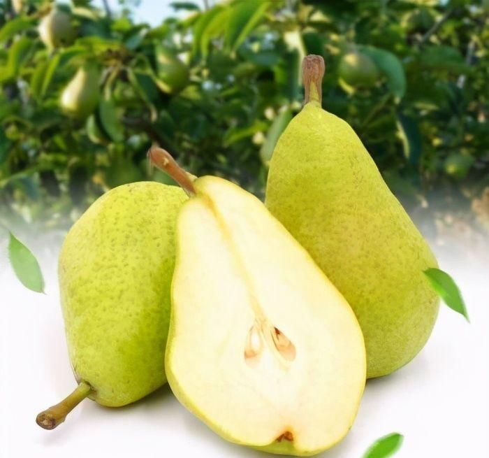 长寿|人到中年想长寿,要坚持吃3种食物,补足气血,身体棒棒哒!