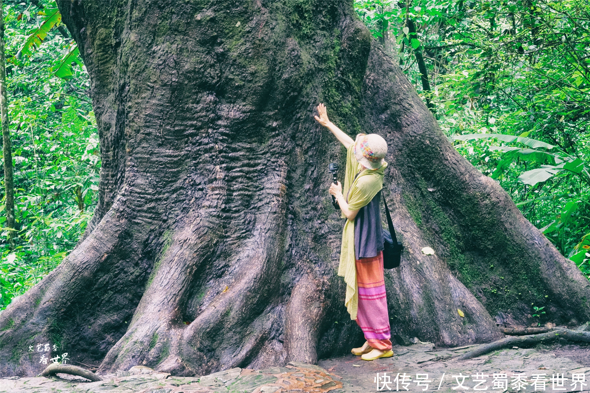 中年|在瑞丽莫里河谷中藏着神奇的莫里瀑布，值得为它来一场丛林探险