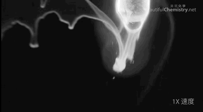 数学@9部孩子必看的顶级纪录片,知识点满满,推荐收藏