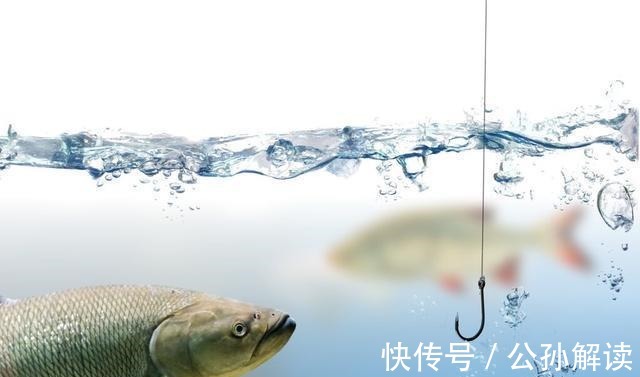 子线的长度将会决定你渔获的多寡,错误的子线用法不仅没口还空军