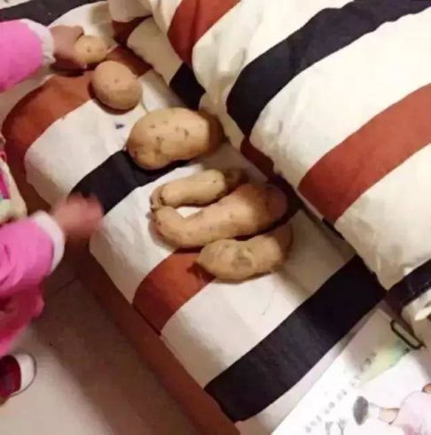 可爱|“娃在静悄悄，准是在作妖”七张图带你看看，熊孩子一点都不可爱