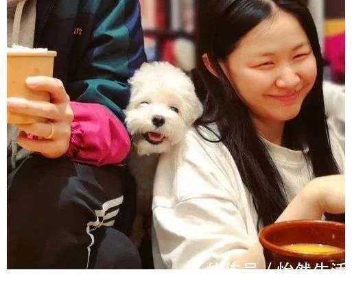 李佳琦|李佳琦金婧BE了?女方男友被扒出,十分有才是动画《不良人》编导