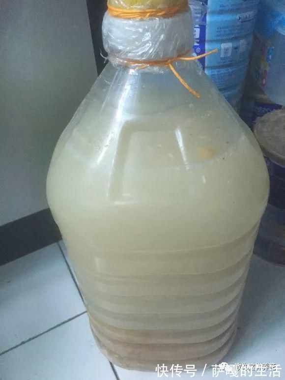 发酵|老花匠：扔4种“东西”，就是扔钱，比花肥还好用，不花钱！