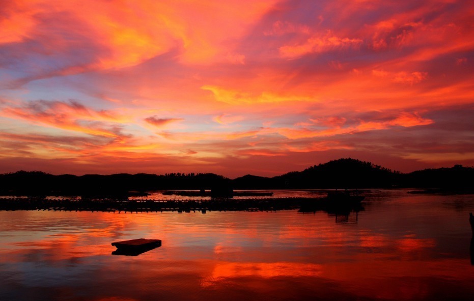  诗词|【诗词鉴赏】古诗词里听秋声，声声入耳，句句在心！