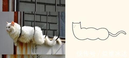 灵魂$“灵魂画手”笔下的宠物,抽象又搞笑的画风,完美抓住了“灵魂”