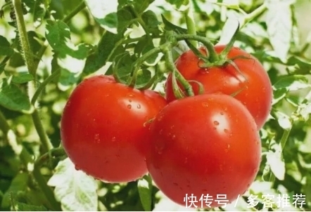 上榜理由|这3种菜适合做辅食,营养全面,宝宝吃了少生病