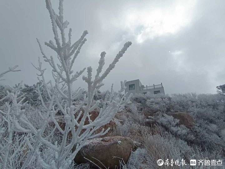 雾凇|沂山上漂亮的雾凇又来刷屏了