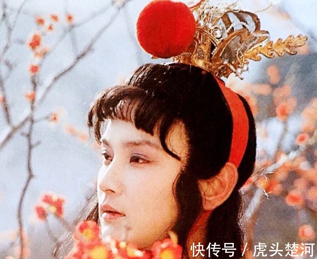 袭人$贾宝玉给探春送荔枝,一个碟子,众人为何都惦记要拿回来?