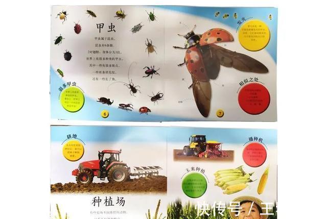 恐龙世界@DK图书大盘点第一季:少儿百科类