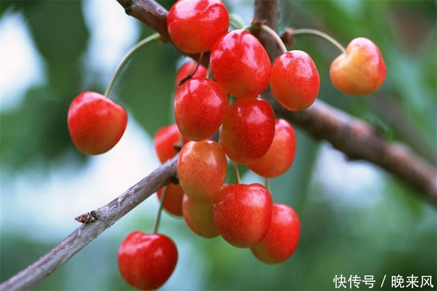 女人四十岁以后,五种食物要多吃,保持年轻态,远离“黄脸婆”