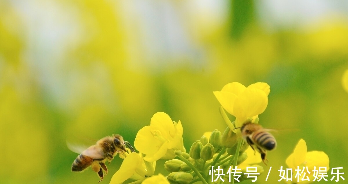 蜀先主庙&被《唐诗三百首》遗忘的15首诗,每一首都是我们最喜爱的名篇