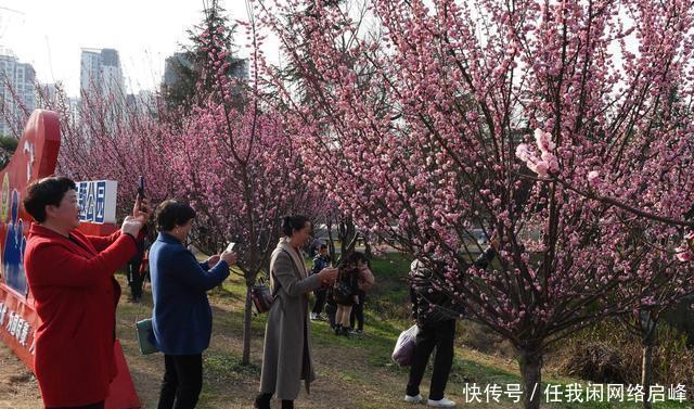 「新春走基层」兴仁红梅花开喜盈盈 家门口的公园里游客多