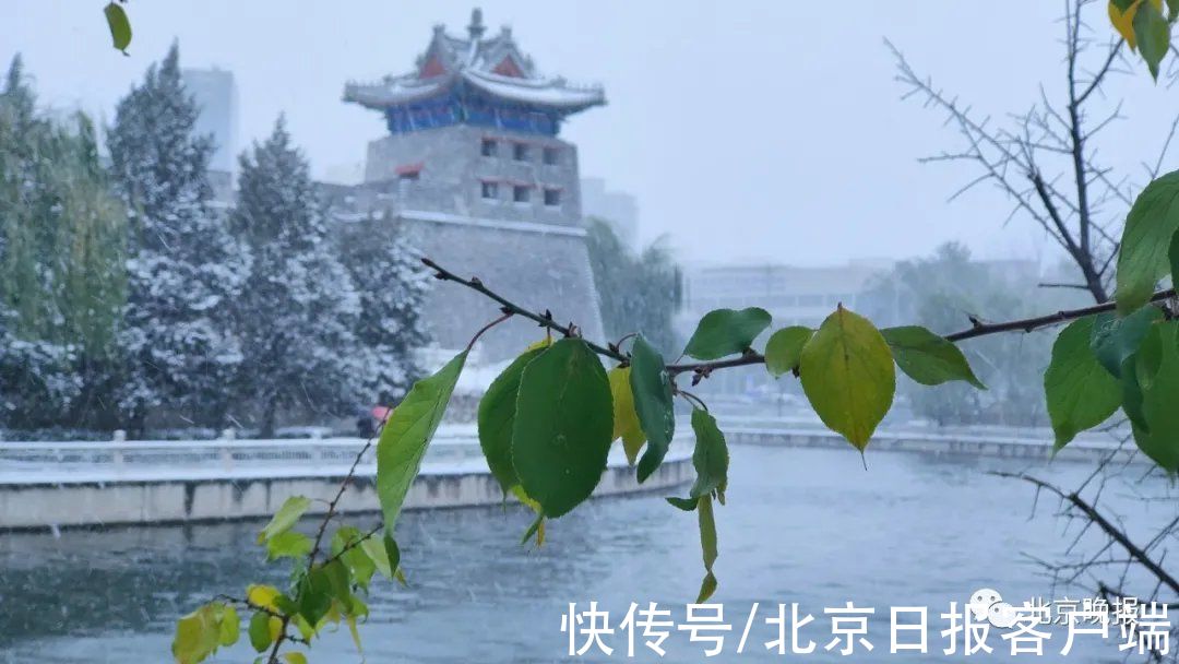 白塔寺|?今天京城这些地方的雪景，独一份！随便一处都是打卡点——