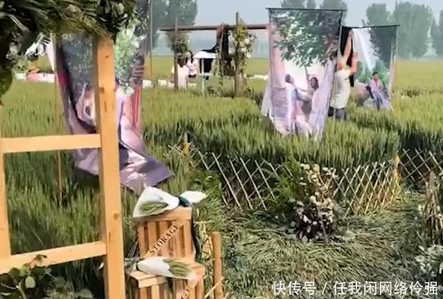 麦子|河北邢台新人在麦田里举行婚礼，即将收获的麦子被压弯在地！