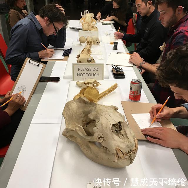 感恩|博齐奇的自然幻境异想天开的科学艺术,感恩生命的生物美学