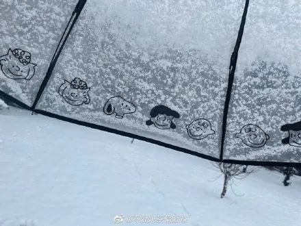 安徽|今天被南方的鹅毛大雪刷屏！“断桥残雪”美呆 有人在雪里实现“冰墩墩”自由