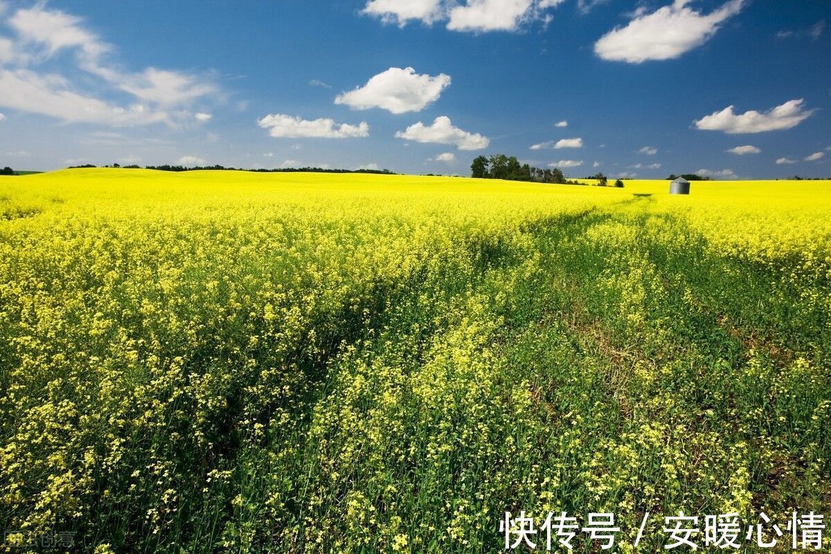 土地资源|集体经营性建设用地出租可以是长期吗?如何规范建设用地入市?