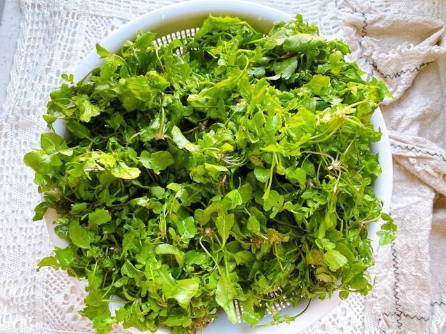 集市上遇到这菜千万别手软，一年只有3个月，营养丰富，脆嫩可口