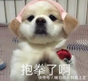 霸榜热搜,3天圈粉千万:这才是真顶流!
