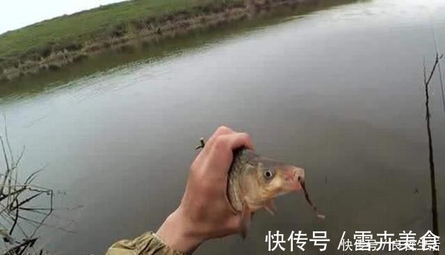 索饵|野钓不上鱼那是因为用饵不对,我从三个方面,分享几种钓饵