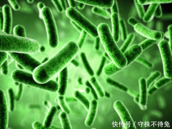 鼠李糖乳杆菌|抗过敏益生菌如何选择?不是所有益生菌都有用,菌种搭配很重要