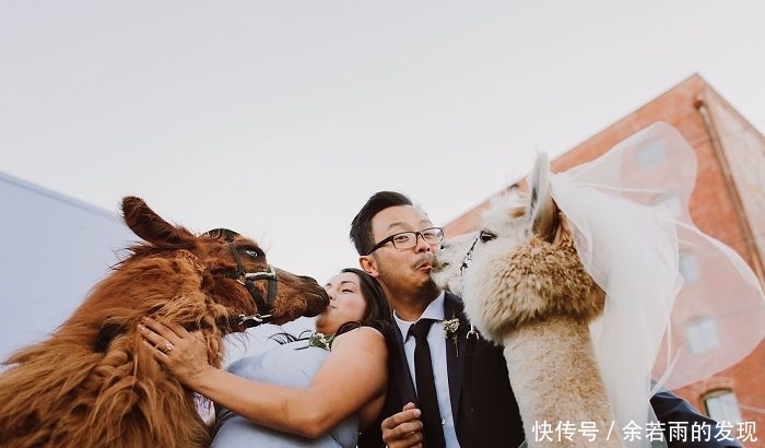 趣图:婚礼的时候一般会邀请什么人?嗯,草泥马伴娘没见过吧?