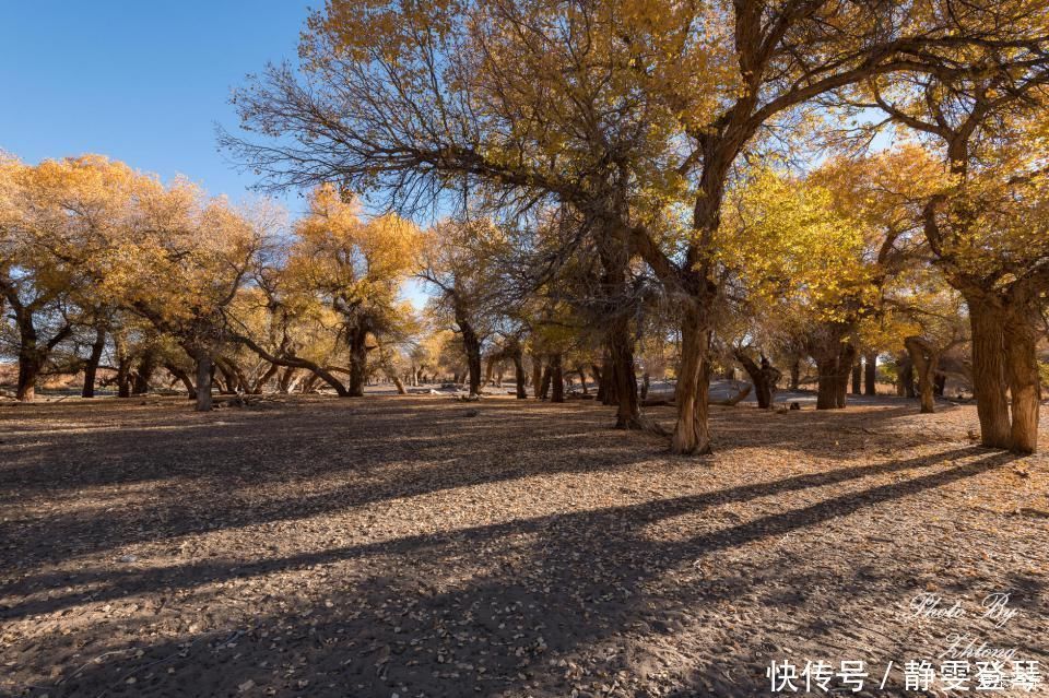 电影《英雄》取景地--内蒙额济纳，记录炫丽迷人的七彩丹霞地貌