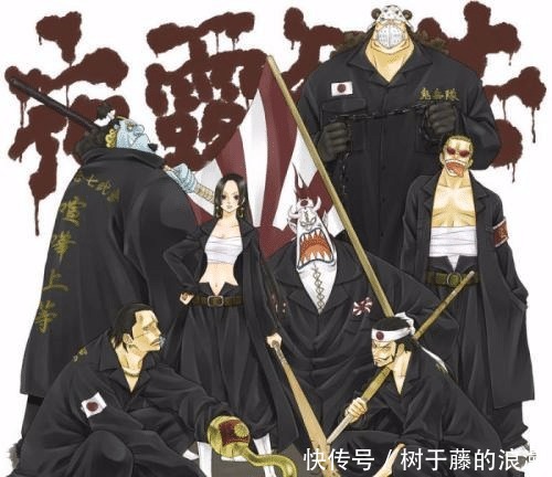 明哥|海贼王七武海真正的实力排名!