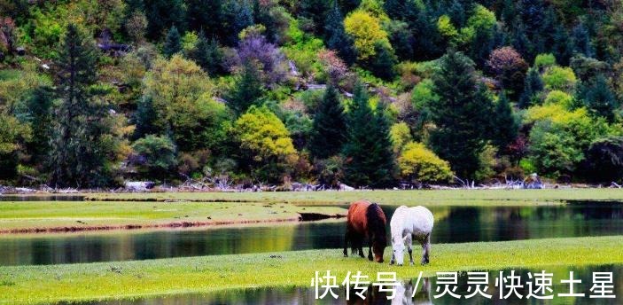 美景|遗落在四川秋季的美景，景色可媲美九寨沟，还被誉为四川后花园