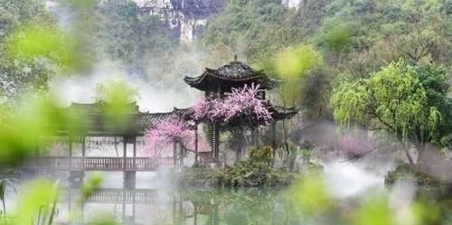 蜻蜓$杨万里最经典的诗,短短四句,朗朗上口,看似写景,却有深刻哲理