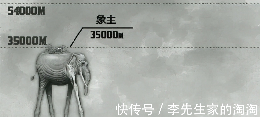 象主|海贼王:1037话巨大身影确定为象主,恐怖战力可抵消世界政府战舰